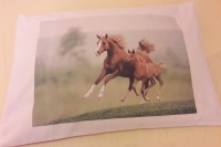 povÅ¡tr konji, lorena