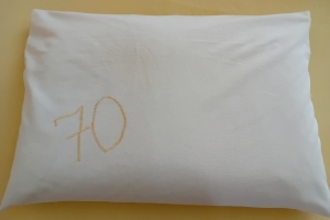 povšter 70, bratanič